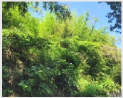  2025Ÿ��21630 �泲 �뿵�� �볲�� ���� 182      ����(��1)���