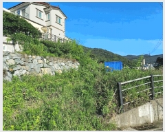  2025Ÿ��21655  ����