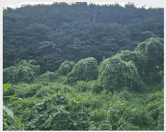  2025Ÿ��21655  ����