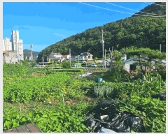  2025Ÿ��21655  ����