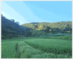  2025Ÿ��21655  ����