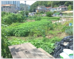  2025Ÿ��21655  ����