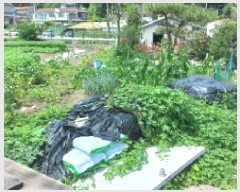  2025Ÿ��21655  ����