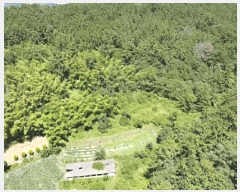  2025Ÿ��21672  ����