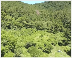  2025Ÿ��21672  ����