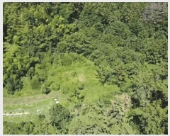  2025Ÿ��21672  ����