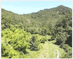  2025Ÿ��21672  ����