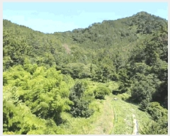  2025Ÿ��21672  ����