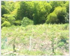  2025Ÿ��21672  ����