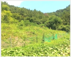  2025Ÿ��21672  ����