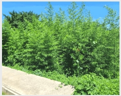  2025Ÿ��21688 �泲 �뿵�� ������ ���׸� 872-1      ����(��1)���