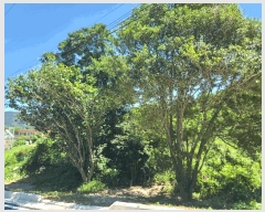  2025Ÿ��21688 �泲 �뿵�� ������ ���׸� 872-1      ����(��1)���