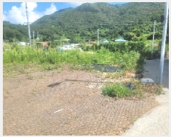  2025Ÿ��21784 �泲 �뿵�� �緮�� ������ 243      ���(ķ����)���