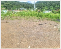  2025Ÿ��21784 �泲 �뿵�� �緮�� ������ 243      ���(ķ����)���