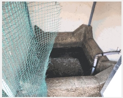  2025Ÿ��21784 �泲 �뿵�� �緮�� ������ 243      ���(ķ����)���