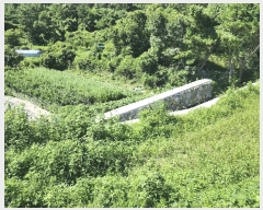  2025Ÿ��21800 �泲 ������ ������ �Ҷ��� 84      ����(��)���