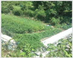  2025Ÿ��21800 �泲 ������ ������ �Ҷ��� 84      ����(��)���