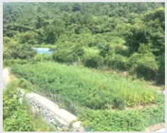  2025Ÿ��21800 �泲 ������ ������ �Ҷ��� 84      ����(��)���