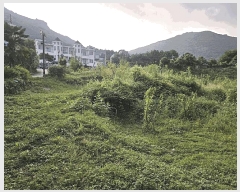  2025Ÿ��21840 �泲 ������ �Ͽ�� ��ġ�� 457      ���(ķ����)���