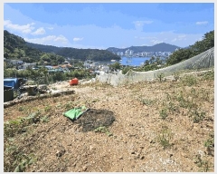  2025Ÿ��21872  ������