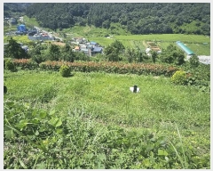  2025Ÿ��21872  ������