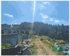  2025Ÿ��21923  �Ӿ߰��