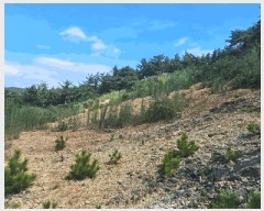  2025Ÿ��21923  �Ӿ߰��