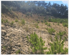  2025Ÿ��21923  �Ӿ߰��