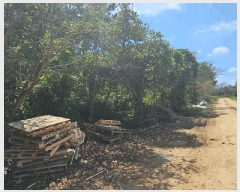  2025Ÿ��21923  �Ӿ߰��