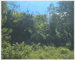  2025Ÿ��21923  �Ӿ߰��