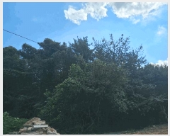  2025Ÿ��21923  �Ӿ߰��