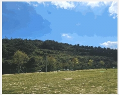  2025Ÿ��21923  �Ӿ߰��