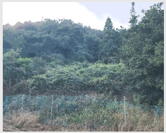  2025Ÿ��21932  �����