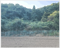  2025Ÿ��21932  �����