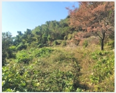  2025Ÿ��21932  �����