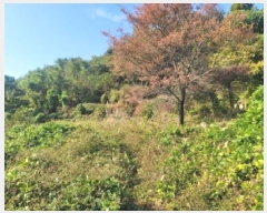  2025Ÿ��21932  �����