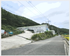  2025Ÿ��21964 �泲 �뿵�� ����� ����� 537      ������