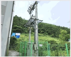  2025Ÿ��21964 �泲 �뿵�� ����� ����� 537      ������