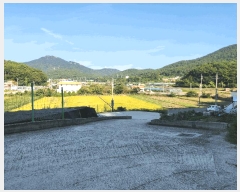  2025Ÿ��21964 �泲 �뿵�� ����� ����� 537      ������