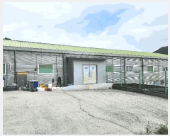  2025Ÿ��21964 �泲 �뿵�� ����� ����� 537      ������