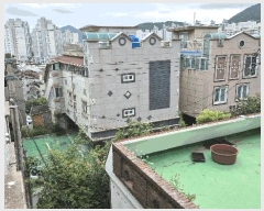  2025Ÿ��21980  �ٰ������ð��