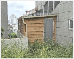  2025Ÿ��21980  �ٰ������ð��