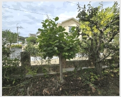  2025Ÿ��22004  ���ð��