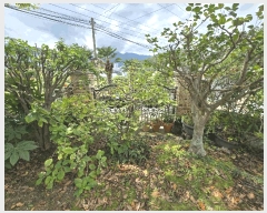  2025Ÿ��22004  ���ð��