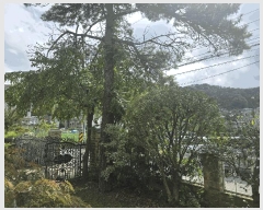  2025Ÿ��22004  ���ð��