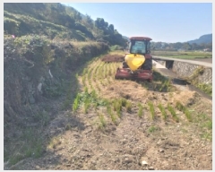  2025Ÿ��22052 �泲 �뿵�� ����� ������ 498-2      ����(��)���