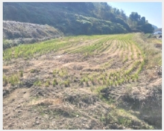  2025Ÿ��22052 �泲 �뿵�� ����� ������ 498-2      ����(��)���