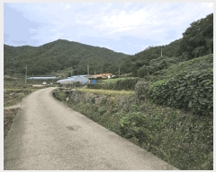  2025Ÿ��22052 �泲 �뿵�� ����� ������ 498-2      ����(��)���