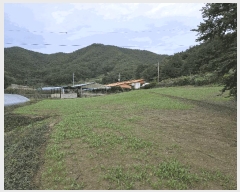  2025Ÿ��22052 �泲 �뿵�� ����� ������ 498-2      ����(��)���