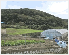  2025Ÿ��22052 �泲 �뿵�� ����� ������ 498-2      ����(��)���